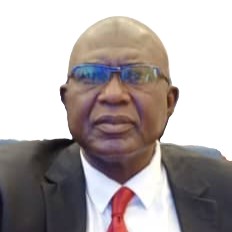 Ing. KOUKODILA NAMOUNA Sylvain